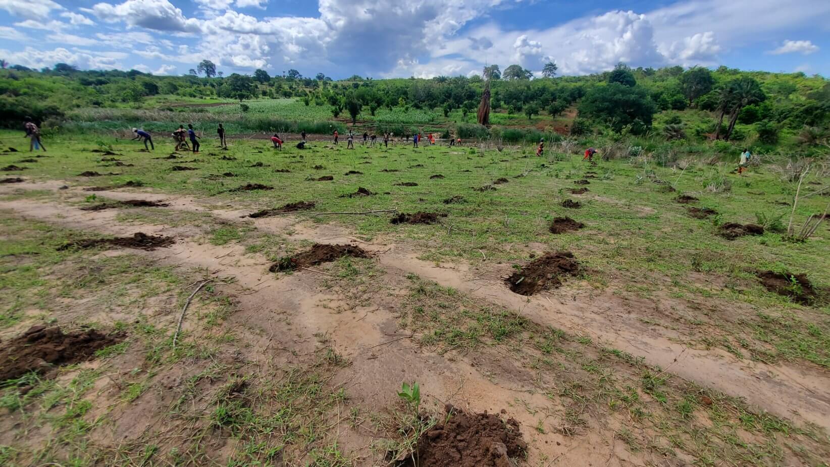 Tanzania reforestation planting session